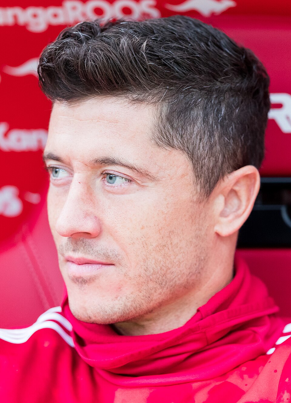 ky开云莱万多夫斯基