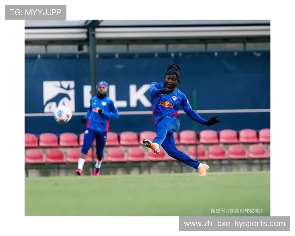 针对中立球队的德甲比赛比分预测汇总